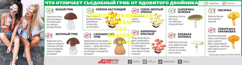 Галлюциногенные грибы мухоморы  Мышкин 